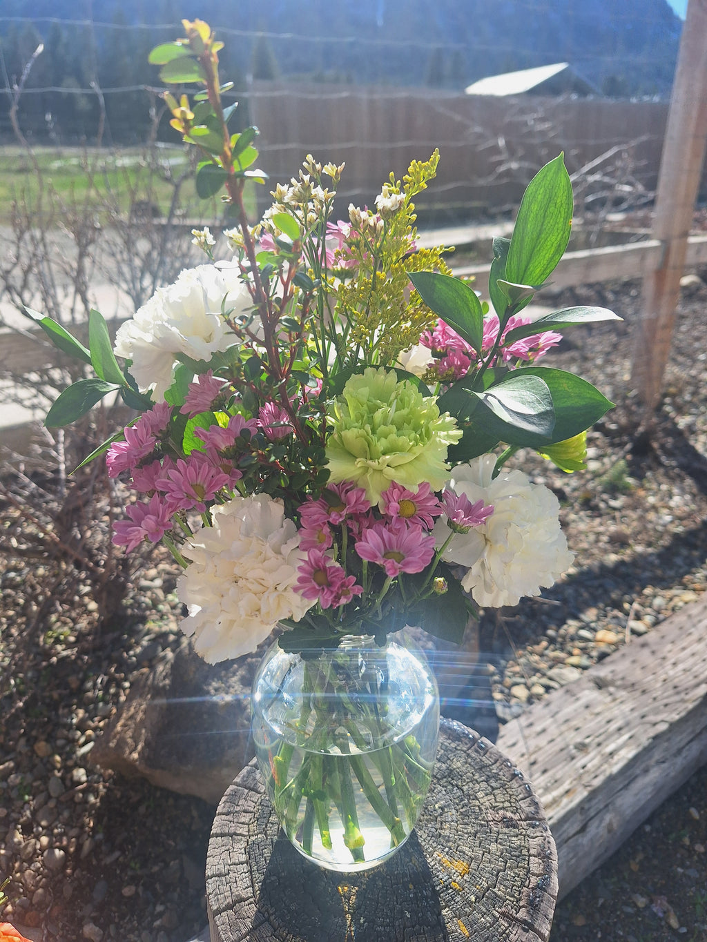 Celebrations!  $40 vase arrangements