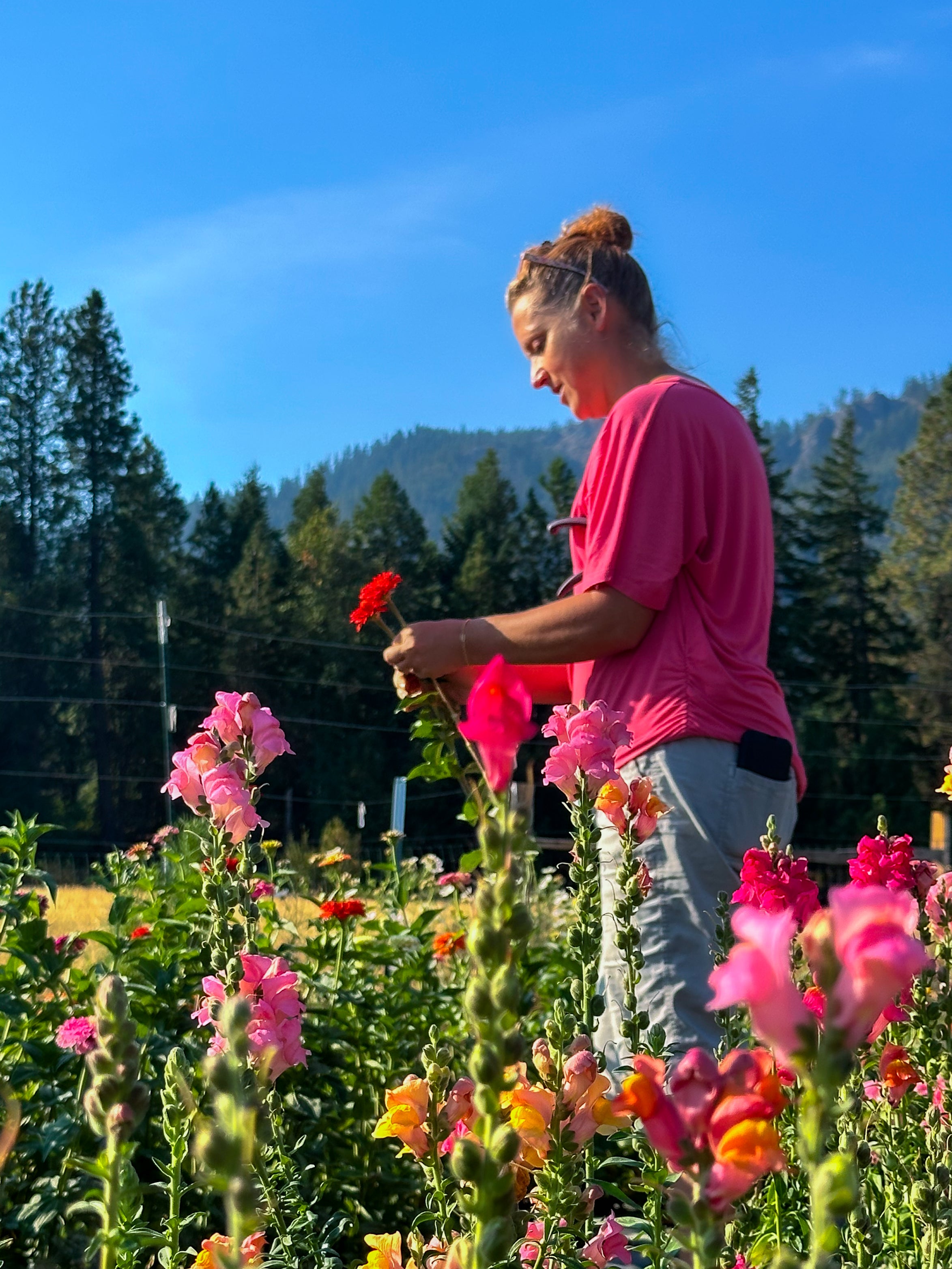 Person in a pink shirt tending to flowers in a garden with trees and blue sky in the background